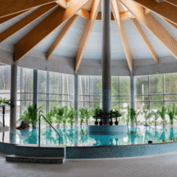 Indoor pool Palanga